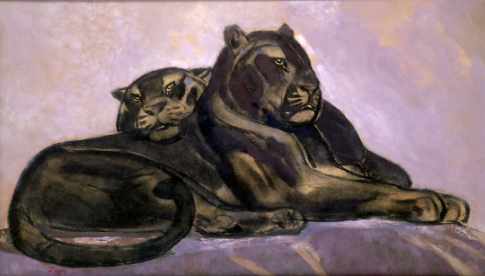 Paul JOUVE (1878-1973) - Couple de panthères noires couchées